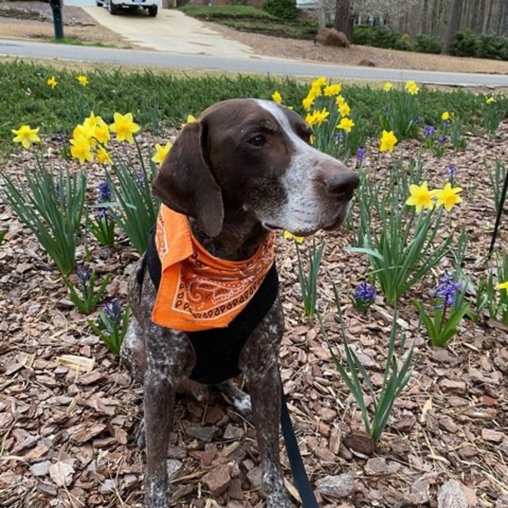 Meet your Posher, Mary